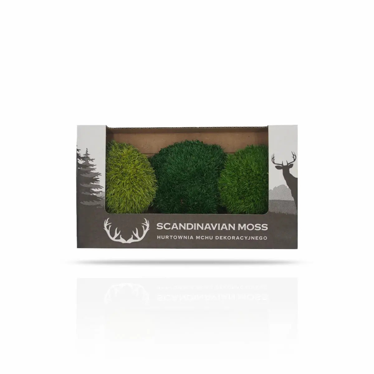 Scandinavian Preserved Moss Sample Box on white background Decormania UK